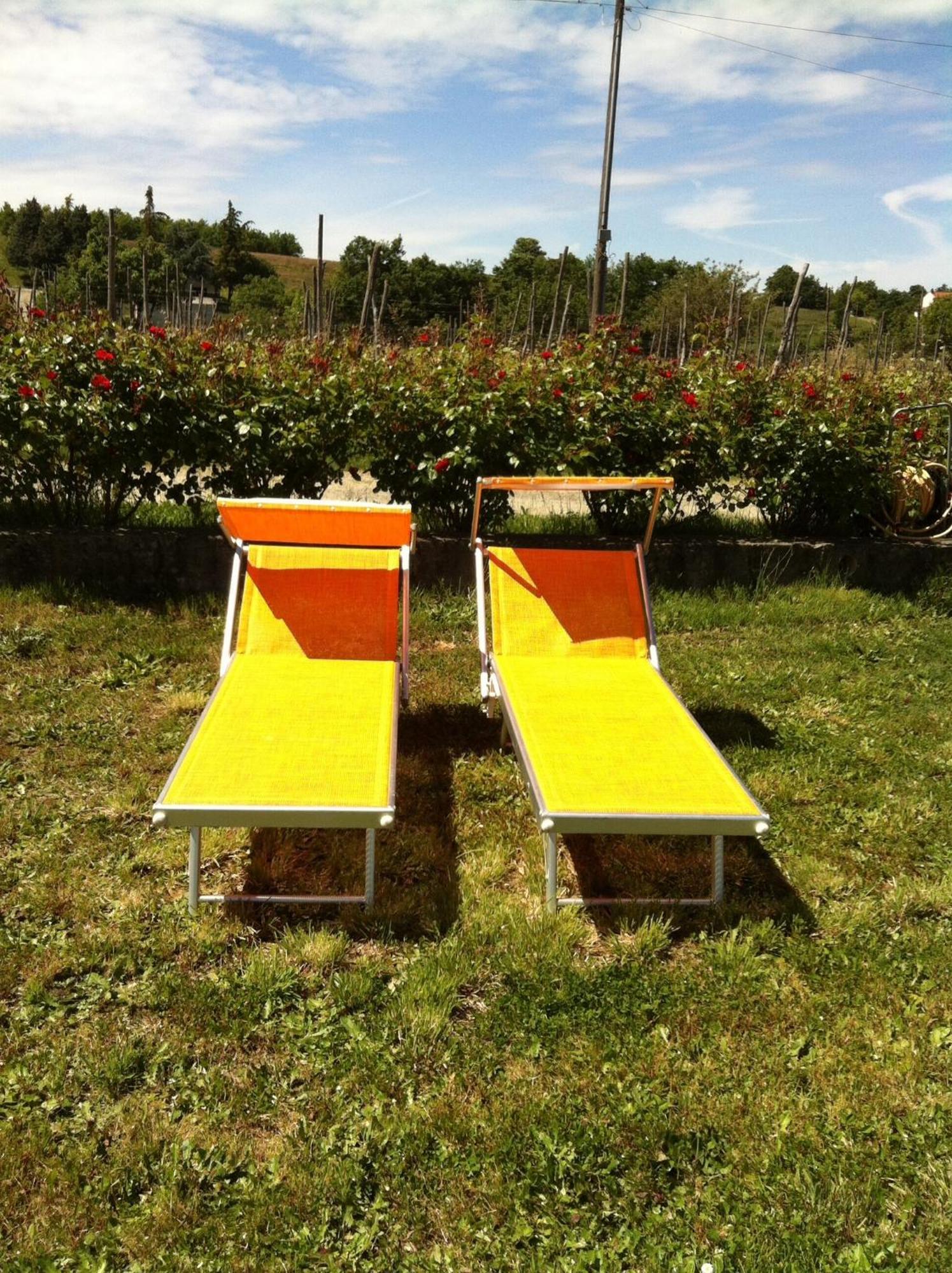 Cascina La Maddalena Bed & Wine Villa Rocca Grimalda Екстериор снимка