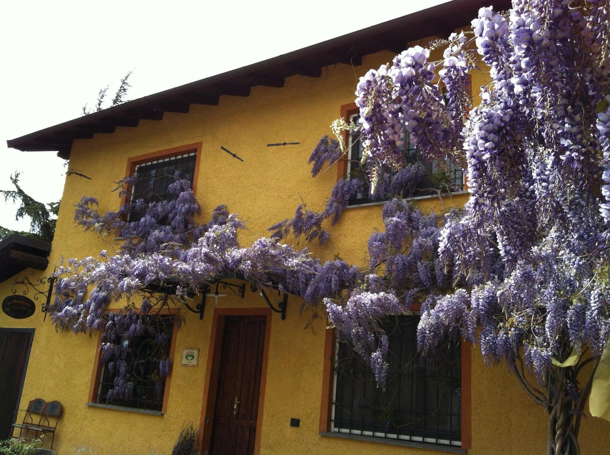 Cascina La Maddalena Bed & Wine Villa Rocca Grimalda Екстериор снимка