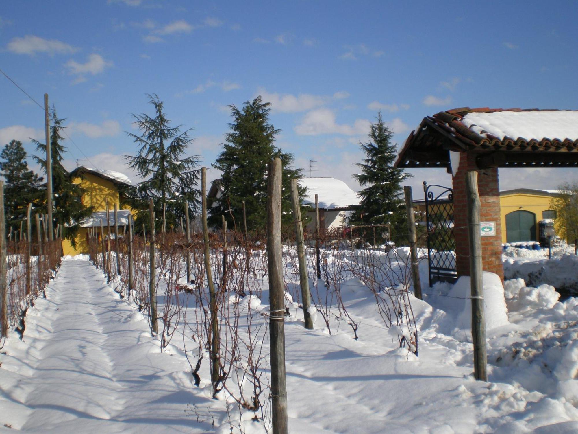 Cascina La Maddalena Bed & Wine Villa Rocca Grimalda Екстериор снимка